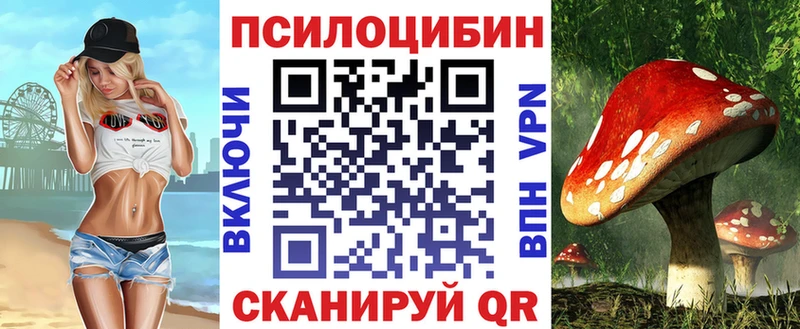 Купить где  Волжский  Псилоцибиновые грибы Psilocybe 